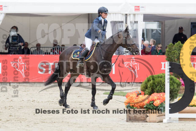 FEI European Championship