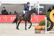 FEI European Championship