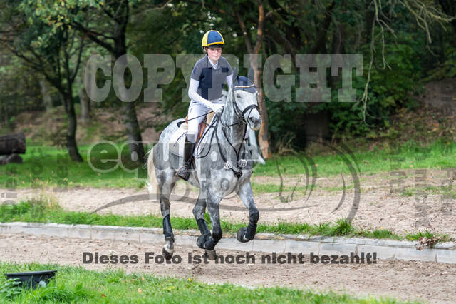 Goldene Schärpe 2020 - Pferde