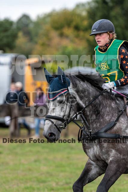 Vielseitigkeit RSV Wesel Obrighoven (26.+27.09.2020)