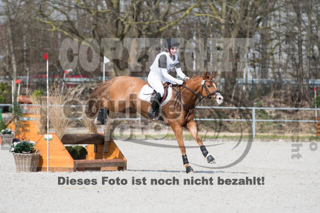 Eventing Langenfeld 2018