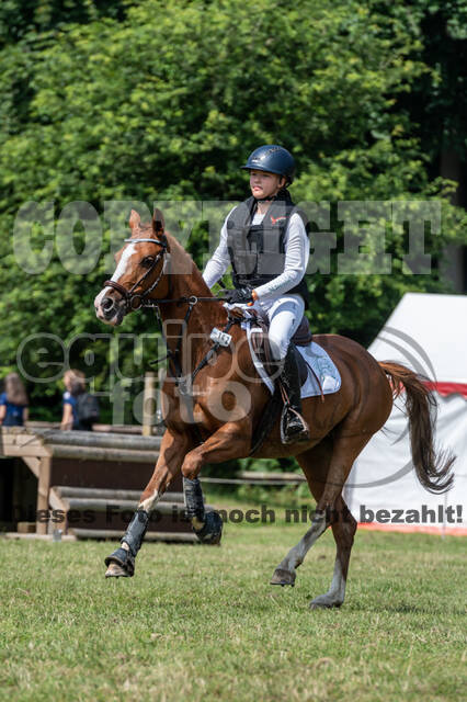 Goldene Schärpe 2021 - Ponys