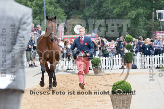 FEI European Championship Eventing 2019