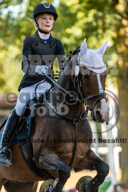 RFV Dinslaken-Hiesfeld (Herbstturnier)