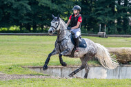 Goldene Schärpe 2021 - Ponys