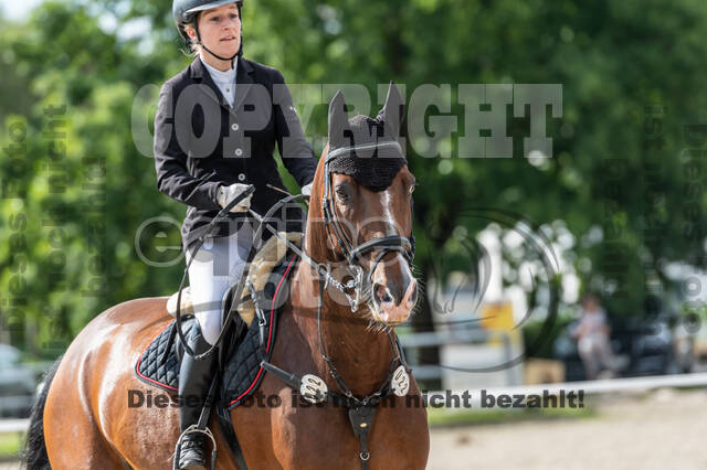 Late-Entry-Vielseitigkeit Langenfeld (06.+07.07.2020)
