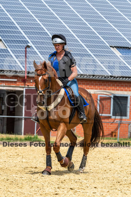 Hunter Geländetraining 10.07.2021 (Sonsbeck)