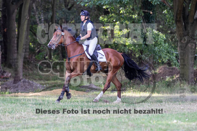 Late-Entry Vielseitigkeit Hamminkeln/Wesel (01.+02.08.2020)