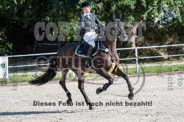 Landesturnier Rheinland, Vielseitigkeit, 22.+23.08.2020