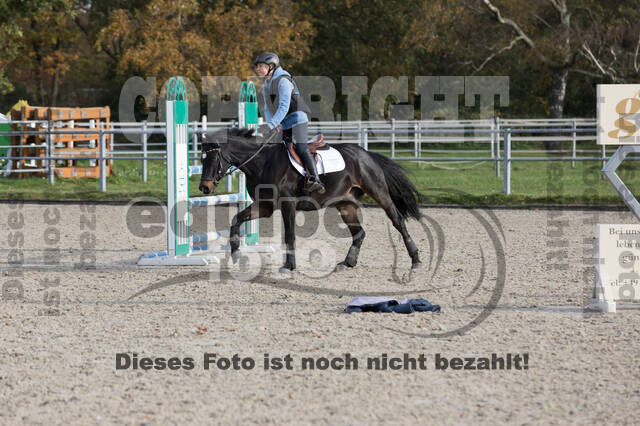 IGV Lehrgang der Sieger der Cups mit Frank Ostholt