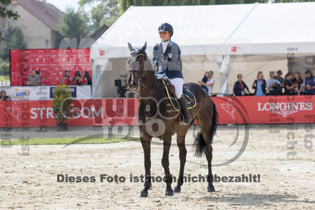 FEI European Championship