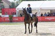FEI European Championship