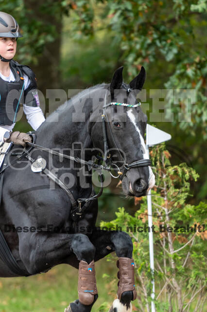 Goldene Schärpe 2020 - Pferde