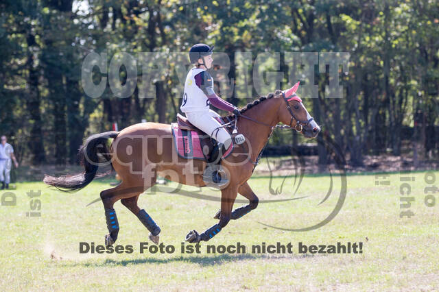 Vielseitigkeitsturnier RSV St. Hubertus Wesel Obrighoven