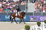FEI European Championship Eventing 2019