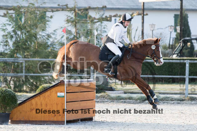 Eventing Langenfeld 2018
