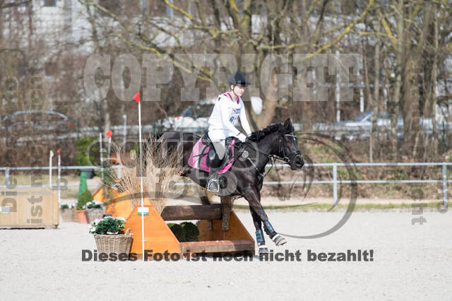 Eventing Langenfeld 2018