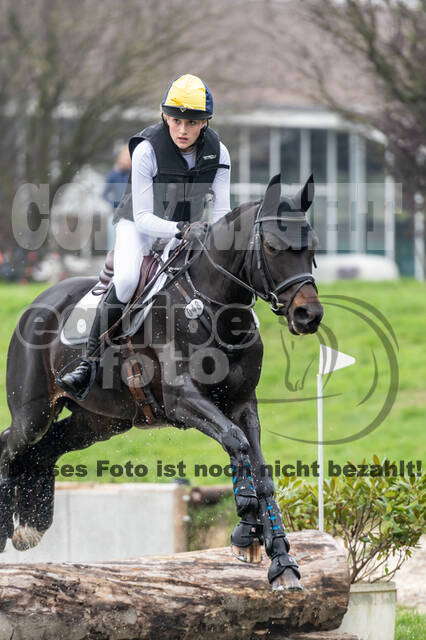 Goldene Schärpe 2020 - Pferde