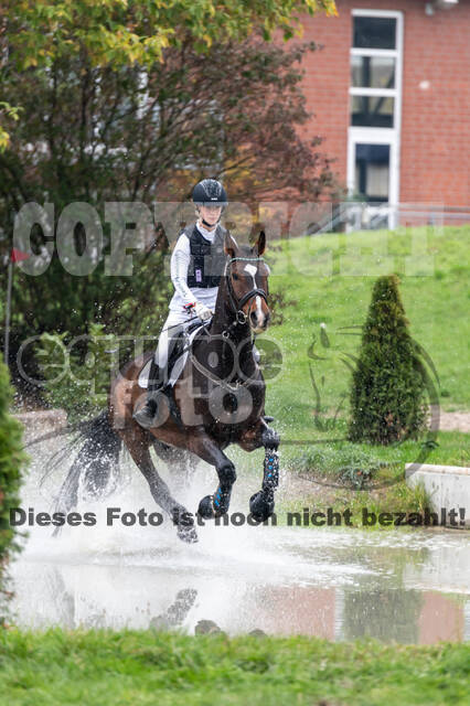 Goldene Schärpe 2020 - Pferde