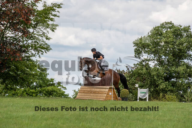 Bonn-Rodderberg Late-Entry-Vielseitigkeit (30.06.2020)
