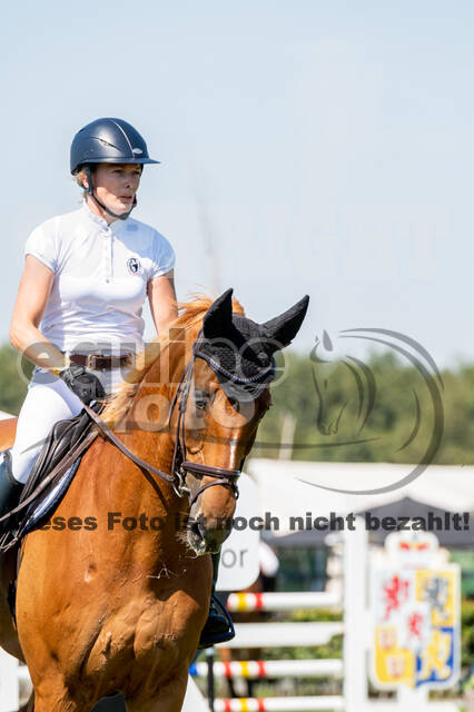 Kronenberg - De Peelbergen (August 2020)