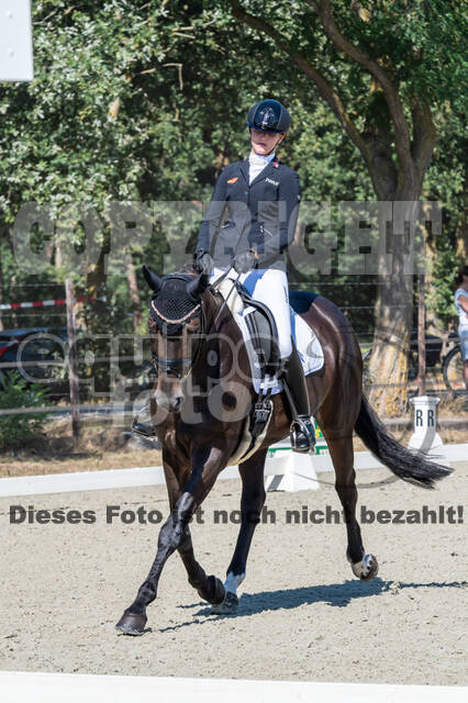 Kronenberg - De Peelbergen (August 2020)