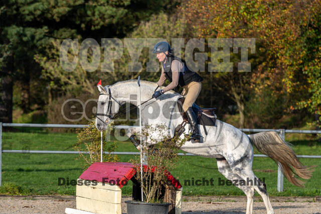 IGV Lehrgang der Sieger der Cups mit Frank Ostholt