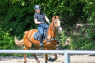 Test of Choise Langenfeld (29.+30.05.2021)