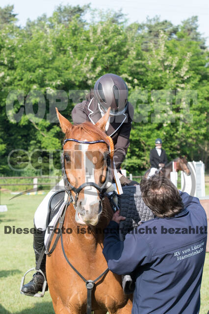 Vielseitigkeitsturnier ZRuFV von Lützow Hamminkeln