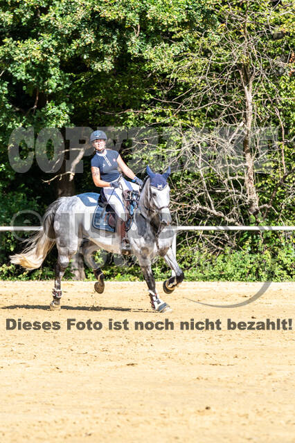 RFV Dinslaken-Hiesfeld (Herbstturnier)