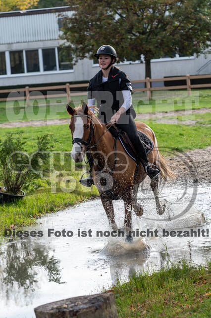 IGV Lehrgang der Sieger der Cups mit Frank Ostholt