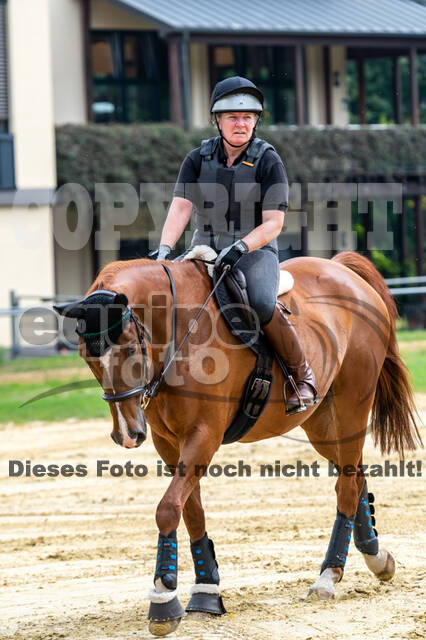 Hunter Geländetraining 10.07.2021 (Sonsbeck)