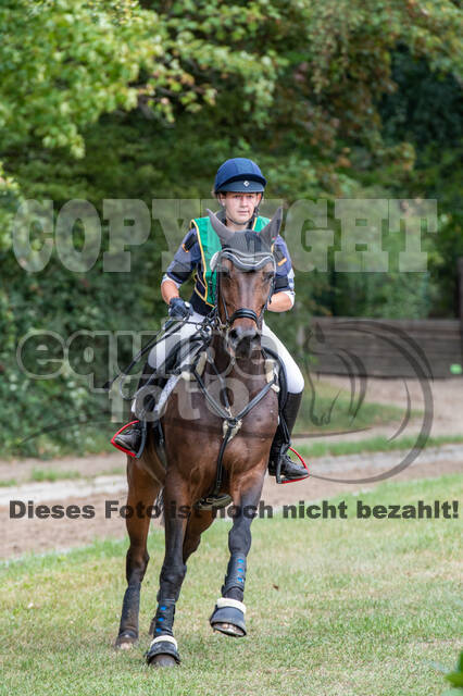 Landesturnier Rheinland, Vielseitigkeit, 22.+23.08.2020