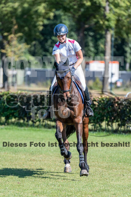 Kronenberg - De Peelbergen (August 2020)