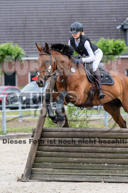 Late-Entry-Vielseitigkeit Langenfeld (11.+13./14.06.2020)