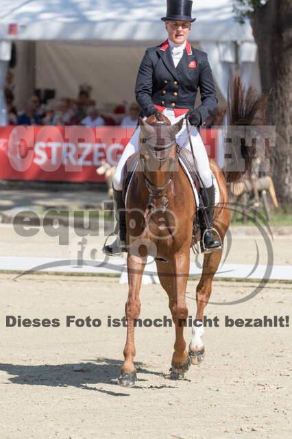 FEI European Championship Eventing 2017