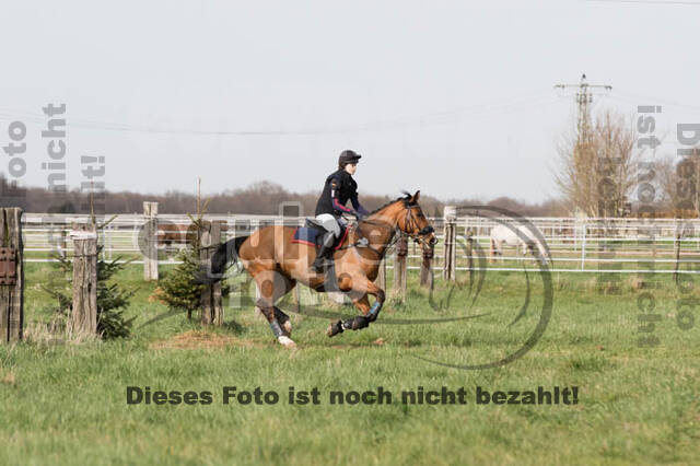 Frühjahrsvielseitigkeit RV Seydlitz Kamp