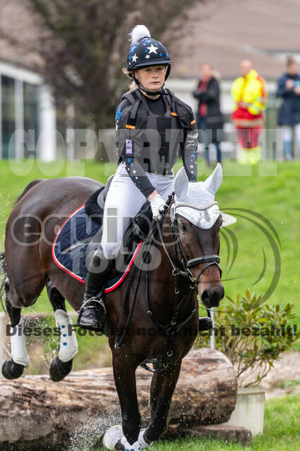 Goldene Schärpe 2020 - Pferde