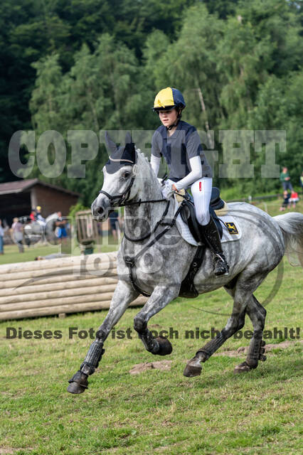 Goldene Schärpe 2021 - Ponys