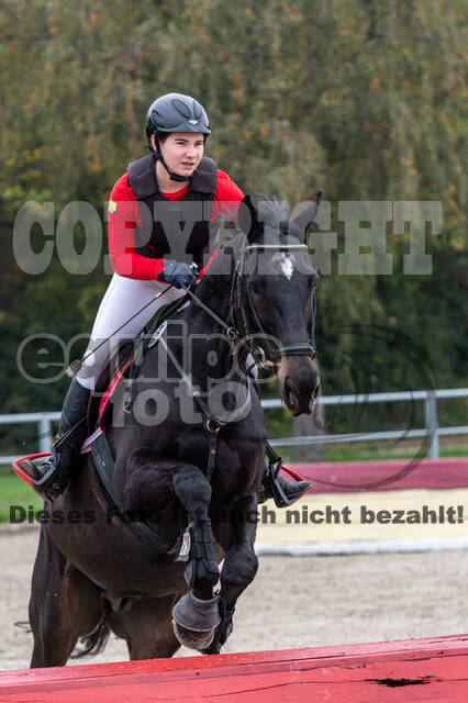 Goldene Schärpe 2020 - Pferde