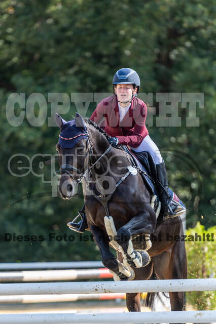 RFV Dinslaken-Hiesfeld (Herbstturnier)