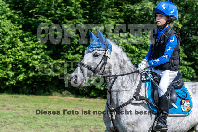 Goldene Schärpe 2021 - Ponys