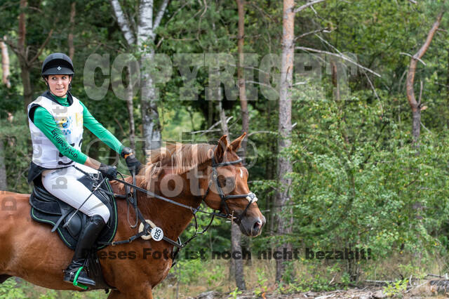 Late-Entry Vielseitigkeit Hamminkeln/Wesel (01.+02.08.2020)
