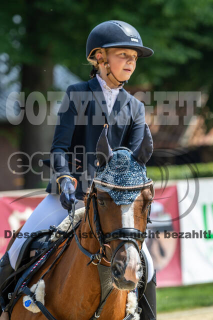 Goldene Schärpe 2021 - Ponys