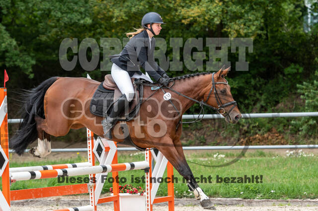 Late-Entry-Vielseitigkeit Langenfeld (06.+07.07.2020)