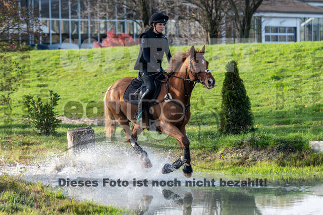 IGV Lehrgang der Sieger der Cups mit Frank Ostholt