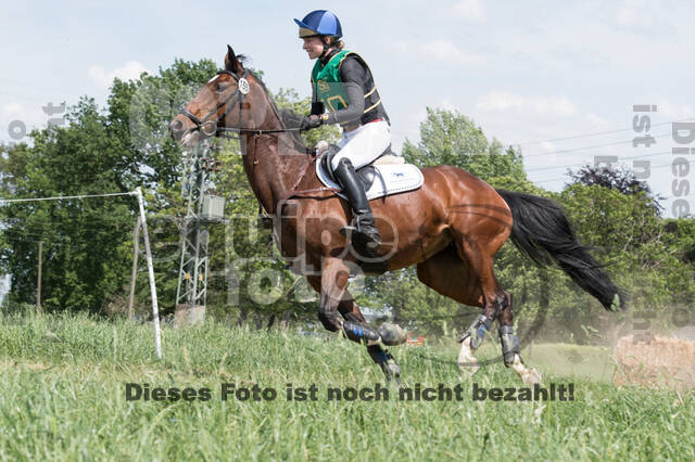 Vielseitigkeitsturnier ZRuFV von Lützow Hamminkeln