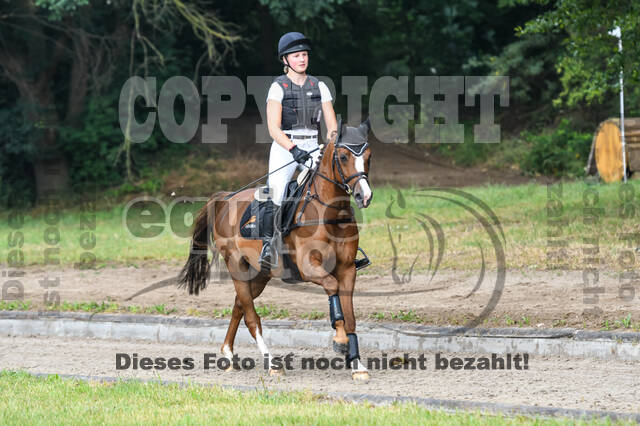 Late-Entry-Vielseitigkeit Langenfeld (11.+13./14.06.2020)