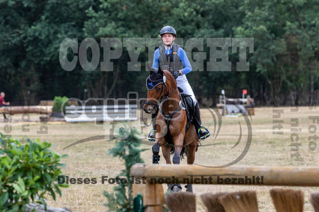 Late-Entry Vielseitigkeit Hamminkeln/Wesel (01.+02.08.2020)