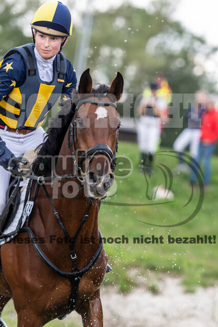 Late-Entry-Vielseitigkeit Langenfeld (06.+07.07.2020)